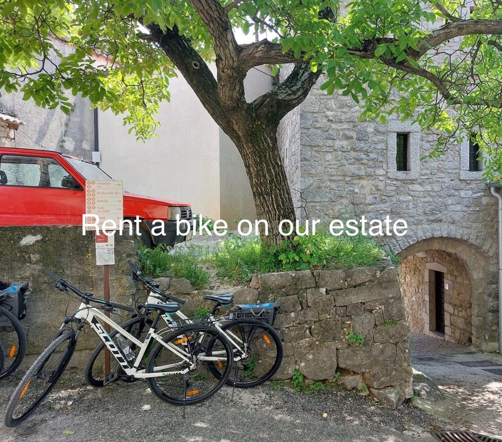 Zenja - Nature Property - Garden - Parking Yard Divača Esterno foto